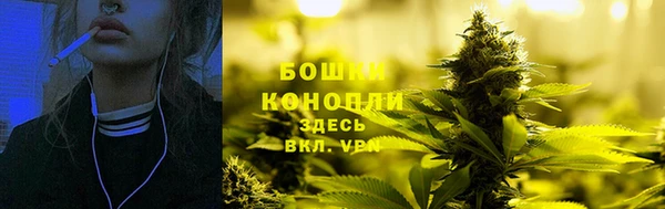 эйфоретик Горняк