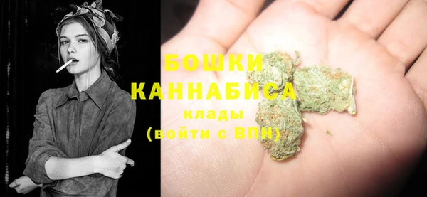 эйфоретик Горняк