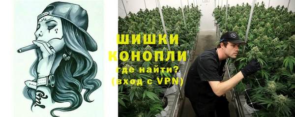 PSILOCYBIN Горнозаводск