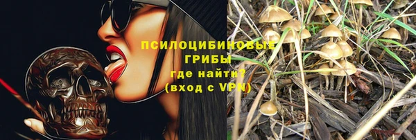 PSILOCYBIN Горнозаводск