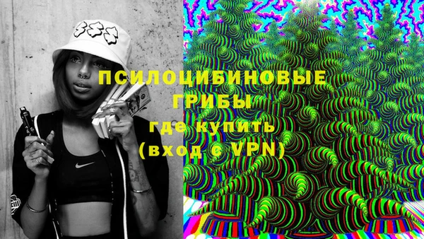 PSILOCYBIN Горнозаводск