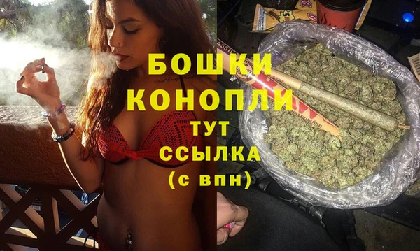 эйфоретик Горняк